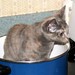 Minnie Cook Photo 16