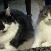 Teresa Sample Photo 18