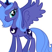 Kevin Fraser Photo 33