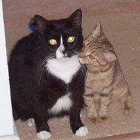 Sharon Proctor Photo 15