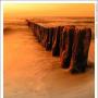Tracy Skaggs Photo 19