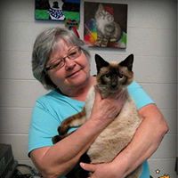 Carol Keith Photo 8