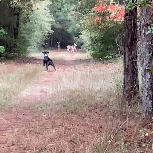 Gerald Perry Photo 11