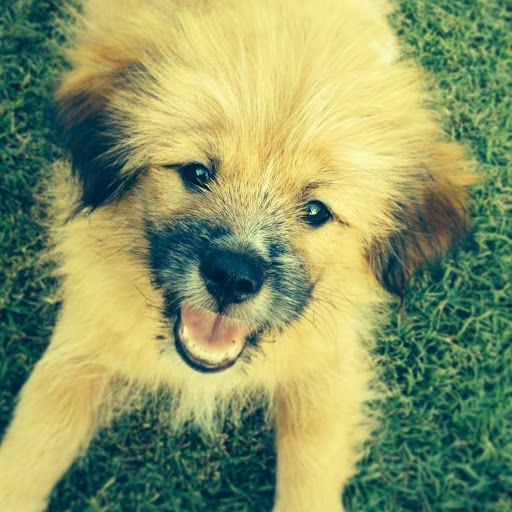 Victoria Tilley Photo 24