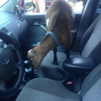 Kim Leavitt Photo 29