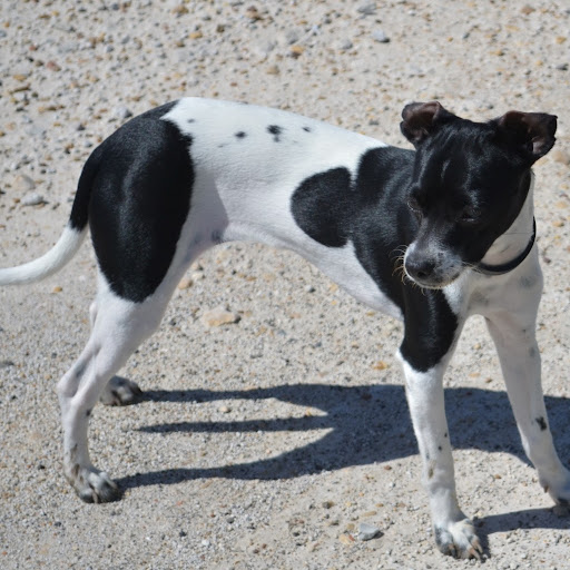 Jeanna Williams Photo 7