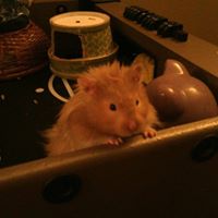 Kevin Reed Photo 37 Kevin Reed Photo 37