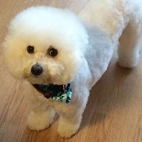 Brenda Weller Photo 15