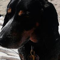 Lori Bittner Photo 3