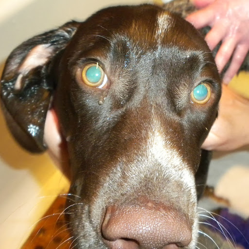 Michelle Wilkins Photo 18