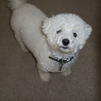 Deborah Crosby Photo 1