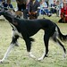 Deborah Ratliff Photo 29