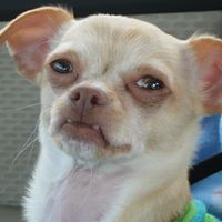 Thomas Novak Photo 43