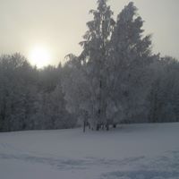 Matthew Mallett Photo 10