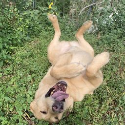 Matthew Swenson Photo 20