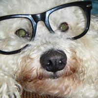 Janet Glover Photo 12