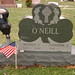 Michael O'Neil Photo 24