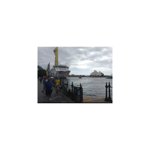 Ronald Davies Photo 21