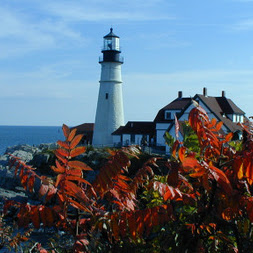 Cheryl Lockard Photo 5