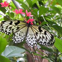 Kathryn Spencer Photo 37