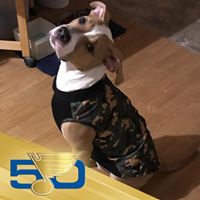 Gerald Ryan Photo 43