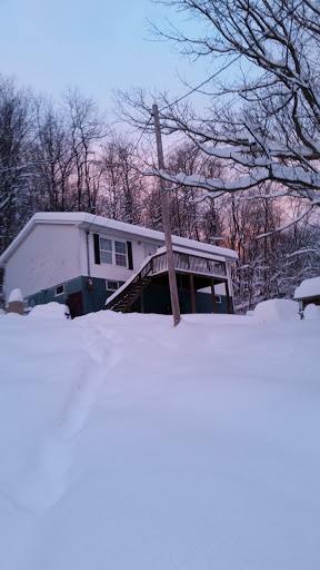 Steven Boone Photo 38