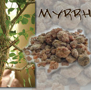 Gina Foreman Photo 14