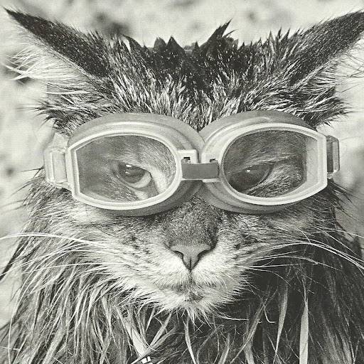 Ginger Wilson Photo 13