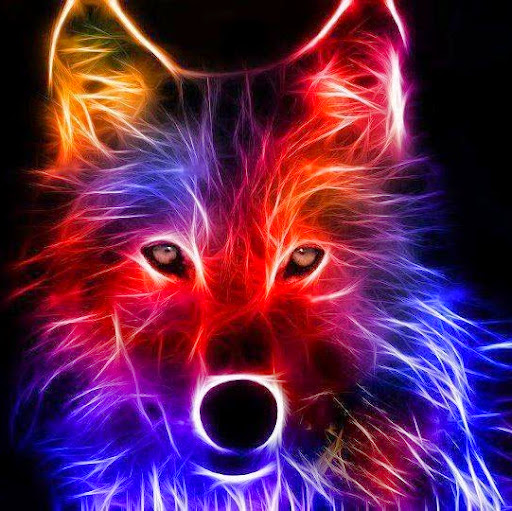 Cristobal Contreras Photo 6