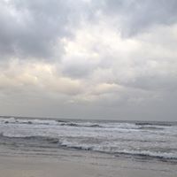 Jenny Morrow Photo 16