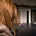 Steve Rainer Photo 7