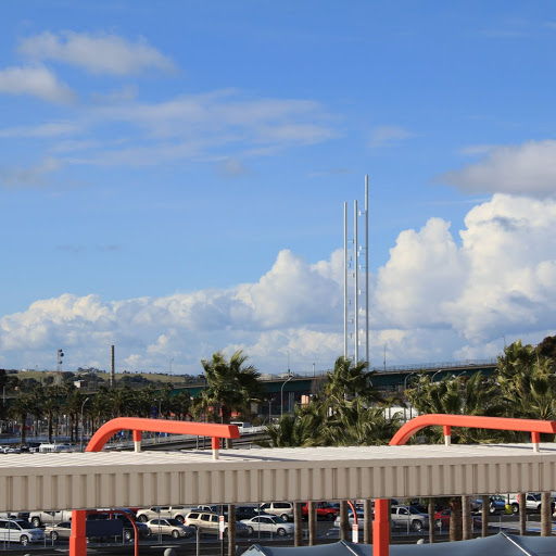 Andy Vaughn Photo 40