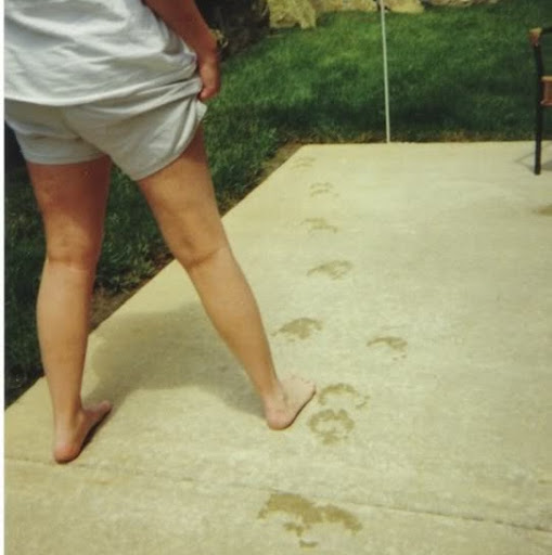 Sharon Crawford Photo 16