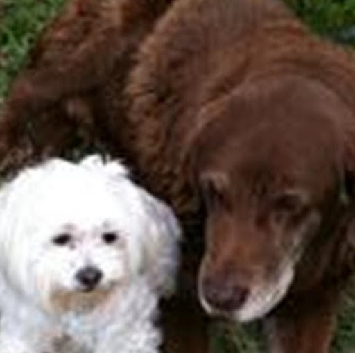 Ruth Hampton Photo 23