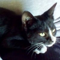 Paula Darnell Photo 17