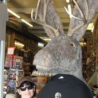Tracey Merrifield Photo 3
