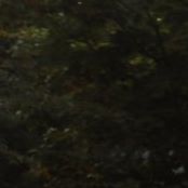 Jerry Fritz Photo 11