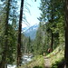 Susan Ingalls Photo 27
