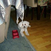 Cathy Stark Photo 19