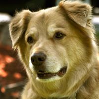 Mary Rhoads Photo 17