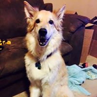 Laura Mattis Photo 13