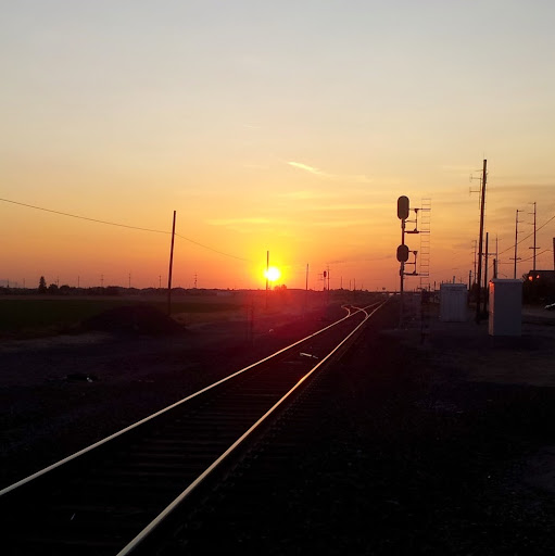 Larry Downing Photo 32