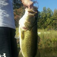 Austin Hubbard Photo 25