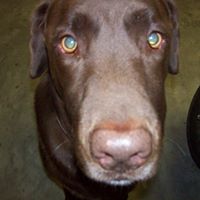 David Parham Photo 17