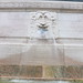 Samuel Straus Photo 4