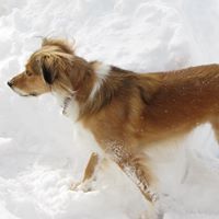 Connie Mayes Photo 27