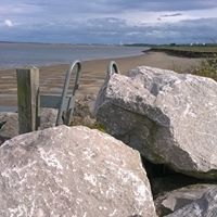 Julie Lester Photo 40