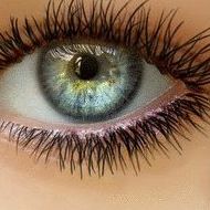 Debbie Darnell Photo 29