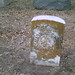 Laura Vandergrift Photo 4