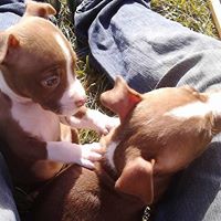 James Haygood Photo 28